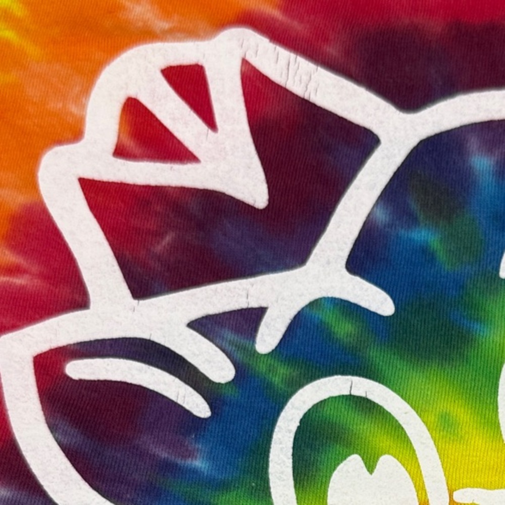 Vibrant Tie-Dye Piggly Graphic Tee - Picture 4 of 5